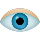 1495829960_Eye